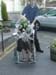 DSCN1674
